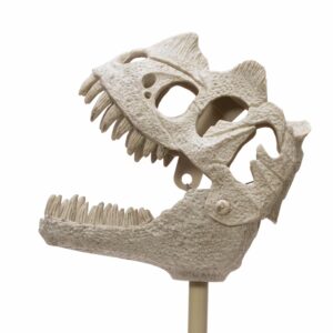 FCH-Fossil-Chomper-Detail-web