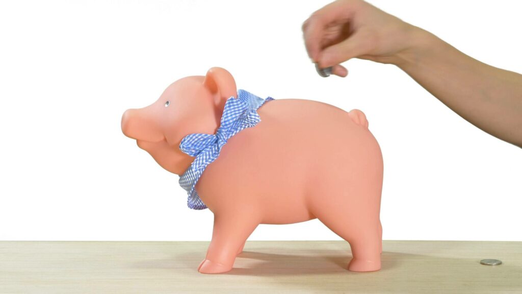 Rubber Piggy Bank Schylling
