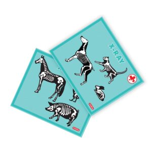 VKIT-Veterinarian-Kit-Cards-web