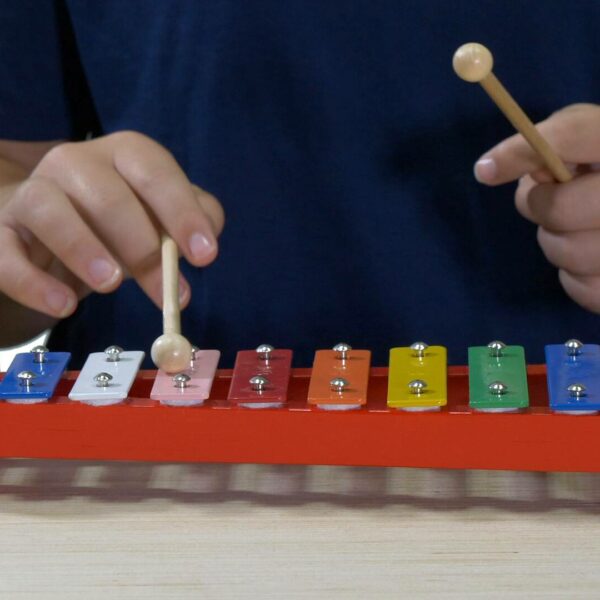 Rainbow xylophone being played video