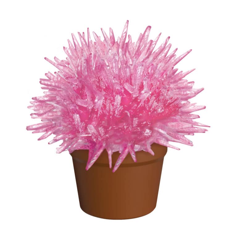 mindware crystal cactus