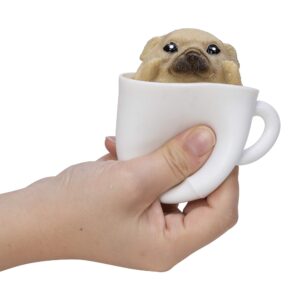 Pup in a Cup, squeezy Popper toy in hand with pug popping out