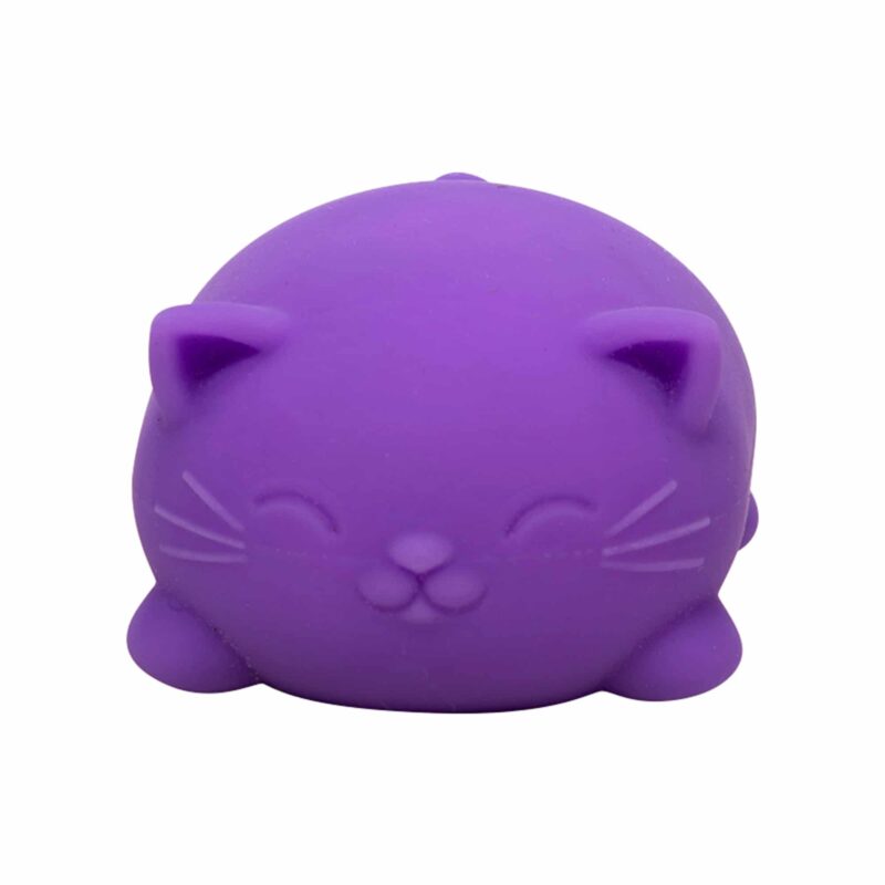 Cool Cats NeeDoh - Schylling