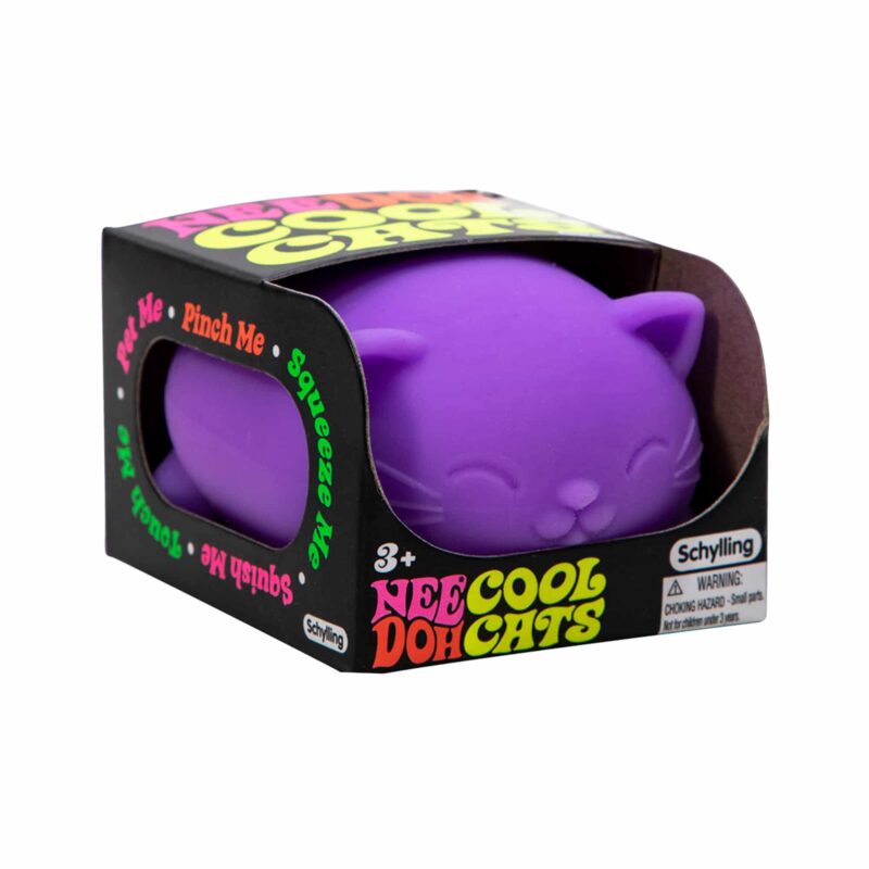 Nee Doh Cool Cats Package Front Angle Purple