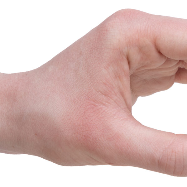 A hand on a white background squeezing a purple penguin between two fingers, showing it is small and squishy.