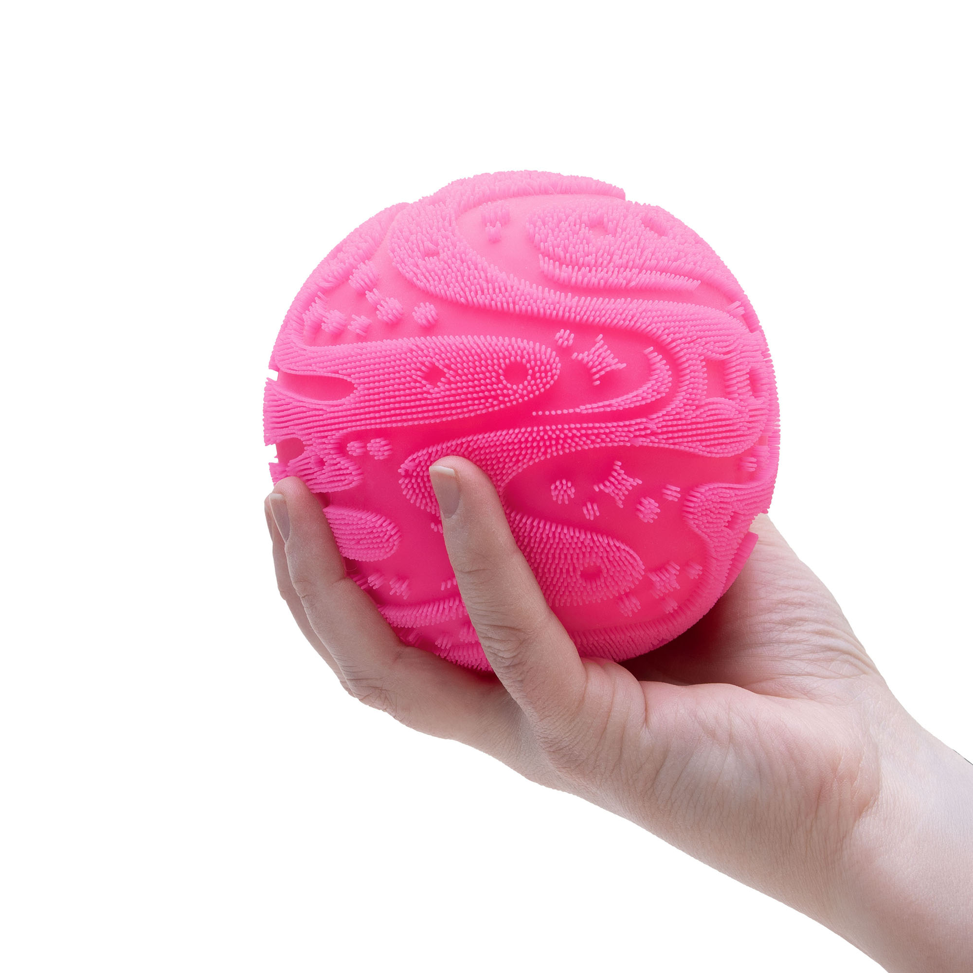 SFZBND_Image3